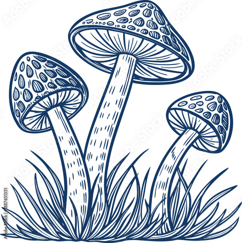 Sketch of spotted mushrooms growing from grassy ground