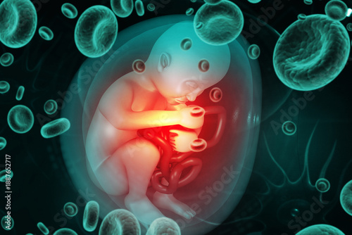 Fotografi 3D Anatomical Render of a Human Fetus in the Womb at 39 Weeks Gestation