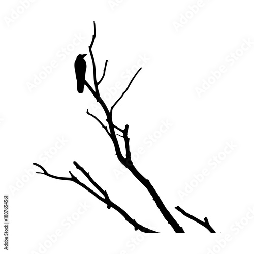 Raven Silhouette Perched on Tree Branches: A stark black and white silhouette of a raven perched gracefully on the delicate branches of a tree, conveying a sense of solitude and natural artistry.
