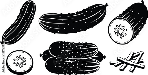 Line art detailed cucumber set showing whole cucumbers sliced rounds spears and stacked cucumbers with side view close up monochrome kitchen produce illustration