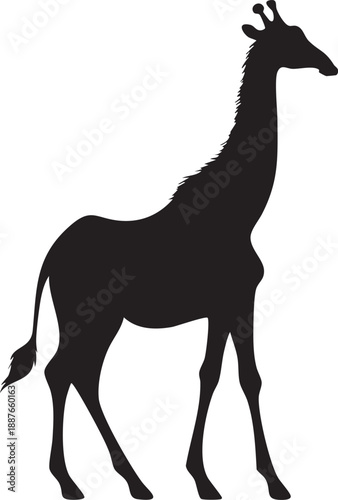 Girafe de profil - Silhouette Noir