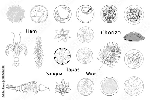 A collection of sketches depicting spanish cuisine and various organic elements
