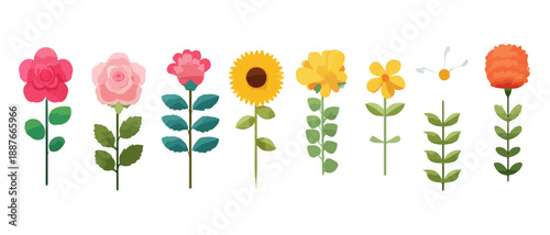 Zestaw kolorowych, stylizowanych kwiatów ogrodowych i łąkowych na przezroczystym tle, idealny do grafiki.