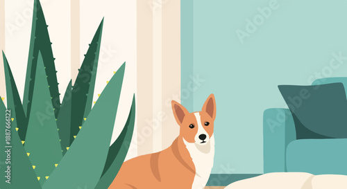 A corgi dog sits by a large succulent plant and a teal sofa indoors