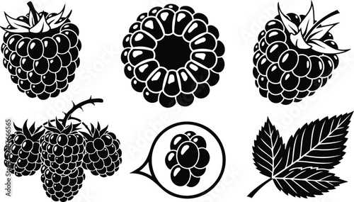 Stencil style close up raspberry cluster with single berries top view and detailed leaf outline isolated on white high contrast vector art black silhouette graphic collection