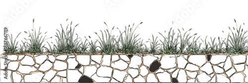 Przekrój podłoża z trawą i kamiennym murem na przezroczystym tle, ilustracja graficzna.