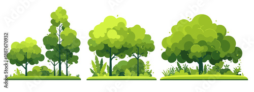 다양한 종류의 녹색 나무와 덤불이 흰색 배경에 투명하게 그려져 있습니다.