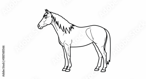 Outline of a Horse Standing, Vector Illustration
