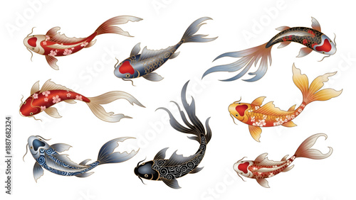 Collection of Koi Fish Swimming.