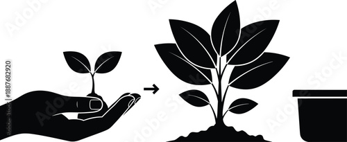 Here is the SEO-optimized metadata for your plant growth and transplanting vector illustration.