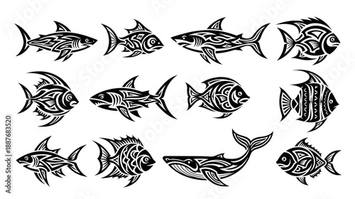 Various Fish and Marine Life.