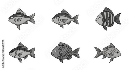 Set of six stylized grayscale fish illustrations with diverse patterns.
