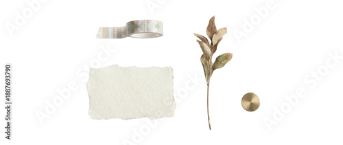 Photos Set of patterned washi tape handmade white paper dried botanical branch and bras