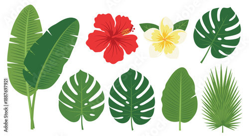 Collection of vibrant tropical leaves and flowers including red hibiscus and white frangipani on a white background.