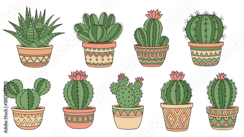 Large collection of diverse potted cacti and succulent plants in decorative ceramic containers with colorful ethnic patterns.
