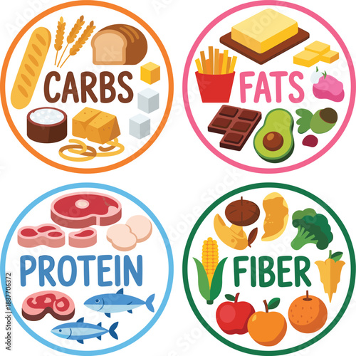 Nutrition infographic showing carbohydrates, fats, protein and fiber food groups, healthy balanced diet concept illustration for education, wellness, meal planning and dietary guidance