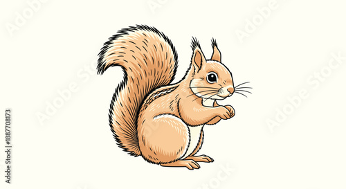 Detailed drawing of a cute squirrel sitting on its hind legs with its bushy tail curved upwards and paws held close to its chest.