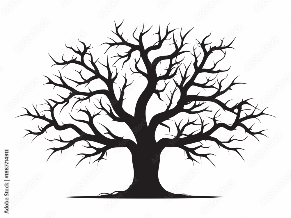 Fototapeta premium A stark silhouette of a bare tree with intricate branching patterns