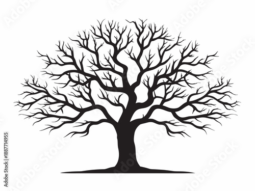 A stark silhouetted tree with bare branches against a white background
