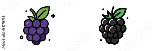 Vector illustration of black grapes and blackberries with leaves