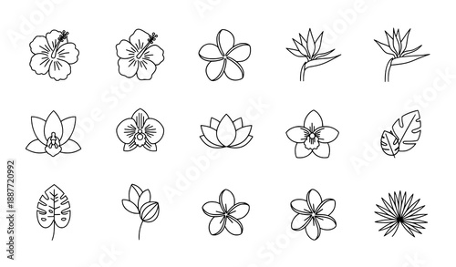 Tropical Flower Lineal Icon Set | Editable Stroke Vector Icons Collection