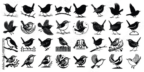 Wren Bird Silhouette Set in Various Poses, Flying and Perching Songbirds Vector Collection