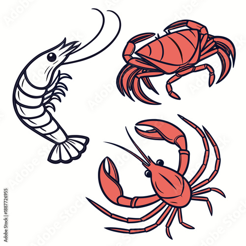 Illustration of seafood: shrimp, crab, and lobster