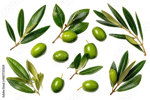 Wallpaper Mural A bunch of olive leaves and olives Torontodigital.ca