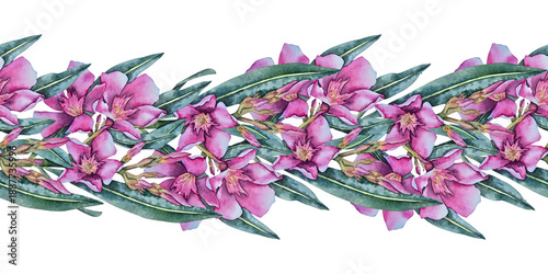 Foto Watercolor seamless border with pink oleander flowers and long dark green leaves