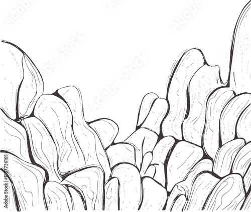 Minimalist of organic rock formations with textured lines stone mountain nature