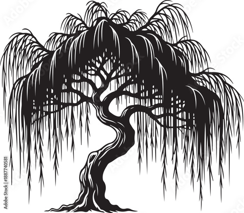 Silhouette of a Weeping Willow Tree nature plant