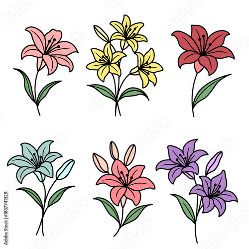 set of lily flowers