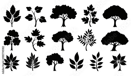 Decorative plant and tree black silhouette hand drawn vector set