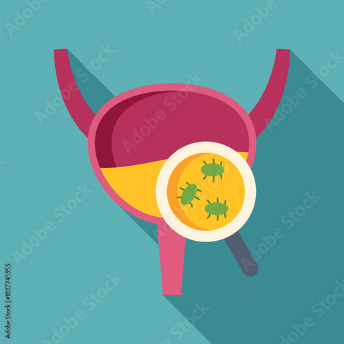 Bladder experiencing urinary tract infection with bacteria seen through magnifying glass