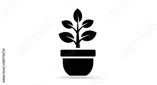 vector illustration of a plant