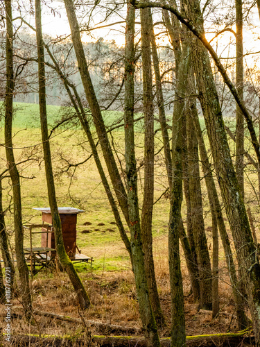 Hoch und Jägersitz am Waldrand