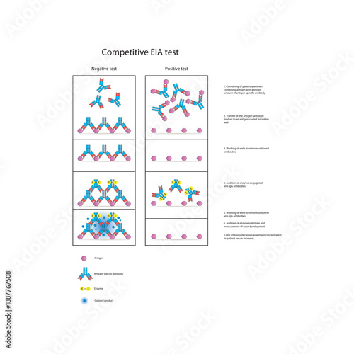 Competitive EIA test diagram showing antigen–antibody competition, enzyme-linked detection, positive and negative results, and inverse color–antigen relationship