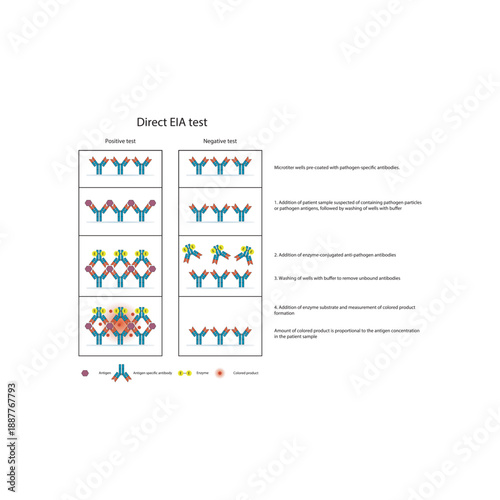 Direct EIA (ELISA) test diagram illustrating antigen detection using enzyme-labeled antibodies, colorimetric signal generation, and quantitative diagnostic results