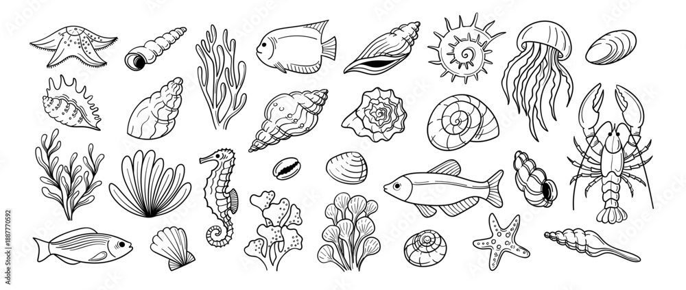 Fototapeta premium Marine wildlife doodle. Coral, starfish and shell, seahorse and mollusk, lobster and seaweed, jellyfish fish cute aquarium sea creatures. Hand drawn isolated ocean animals, nautical sketch vector set