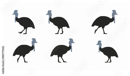 Minimal cassowary bird icon set flat vector illustration isolated