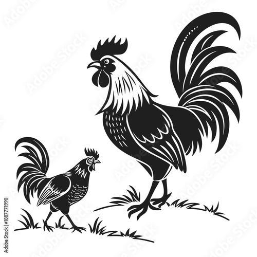 Rooster and cockerel vector illustration set in black and white woodcut style. Farmyard poultry birds standing in grass design elements for rural agriculture.