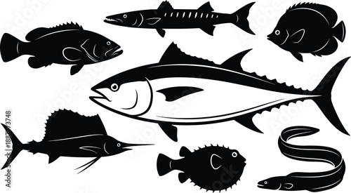 Black silhouette ocean fish collection featuring tuna, marlin, eel and tropical species, marine wildlife vector illustration isolated on white background for fishing seafood design