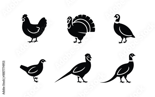 Farm poultry silhouette icons, chicken turkey quail shapes, agriculture expo poster, county fair event, farmers market signage, homestead workshop graphics