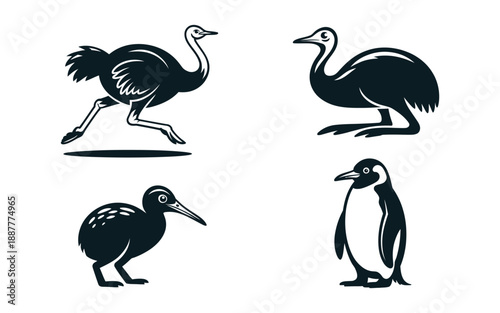 Wading bird silhouette icons, heron, stork, pelican figures, birdwatching festival poster, wetland conservation event, nature photography workshop, vector pack