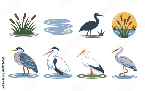 Heron and egret illustrations, reeds and water ripples, lake habitat scenes, birdwatching tour flyer, environmental education session graphics, printable vector