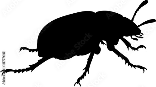 Beetle walking profile silhouette small insect illustration garden bug vector graphic