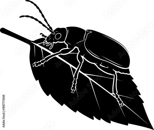 Beetle crawling on leaf silhouette insect nature illustration scarab bug vector graphic side view