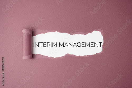 Bild auf Leinwand Interim management