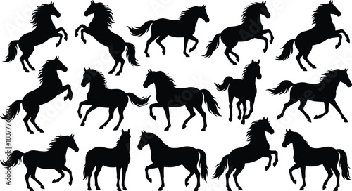 Wild horse silhouettes collection showcasing running, rearing and galloping equine poses, black animal vector illustrations isolated on white background for logo branding and wildlife graphic design