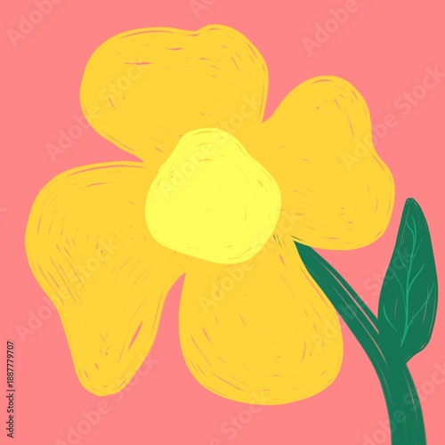 illustration of a yellow flower, hand drawn 